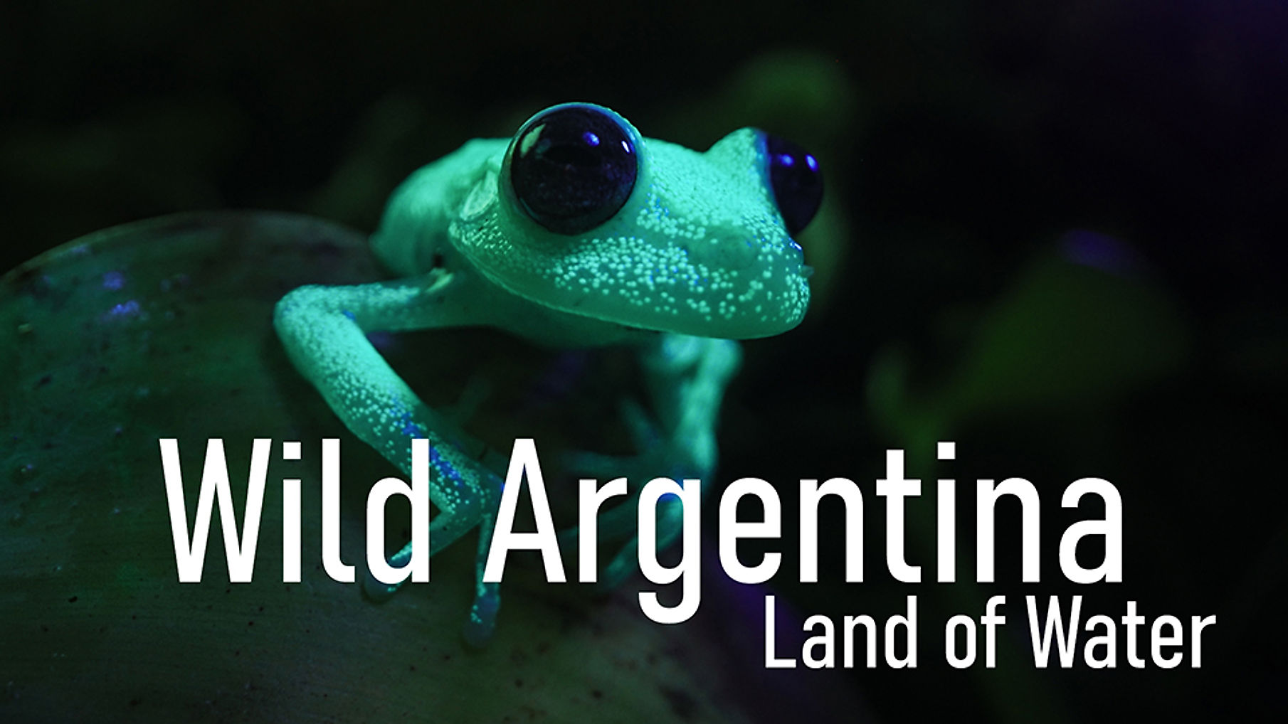 Wild Argentina - Land of Water